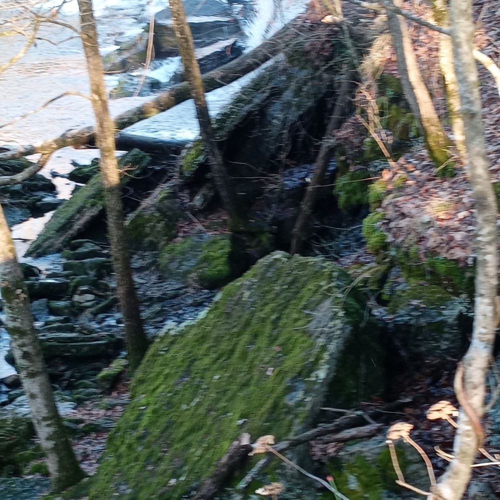 Meet your Posher, Sharon